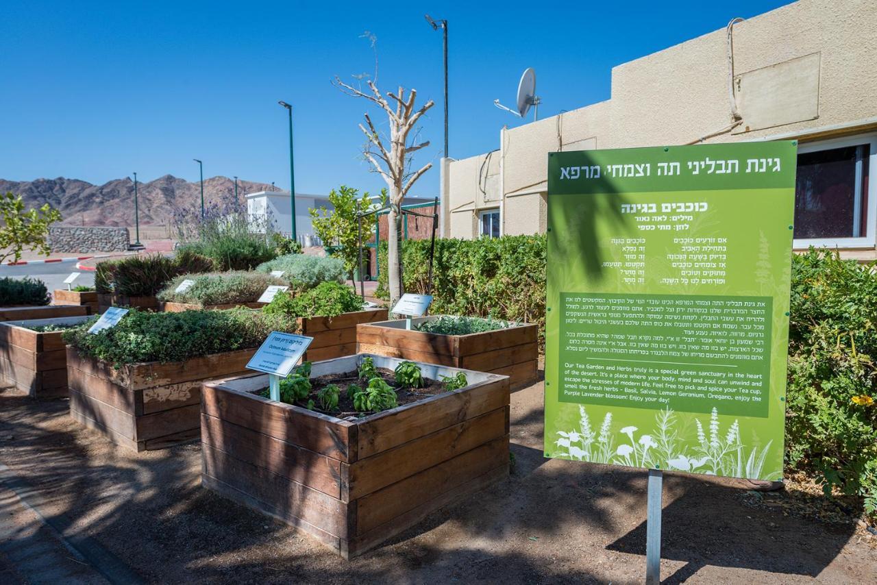 Eilot Kibbutz Country Lodging Eilat Luaran gambar