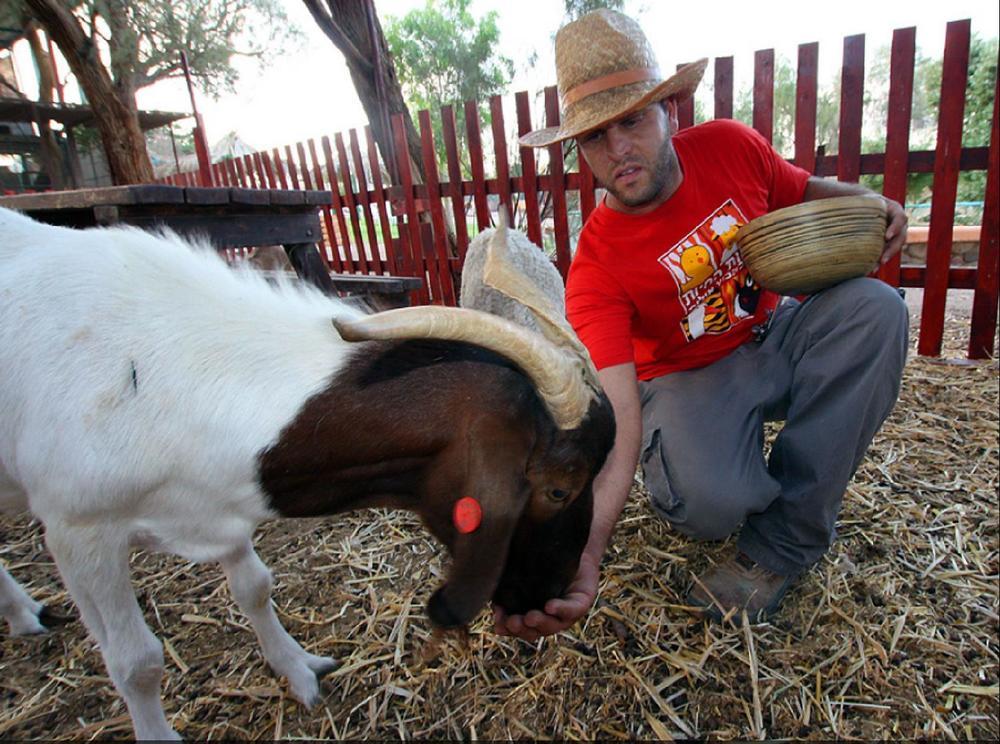 Eilot Kibbutz Country Lodging Eilat Luaran gambar